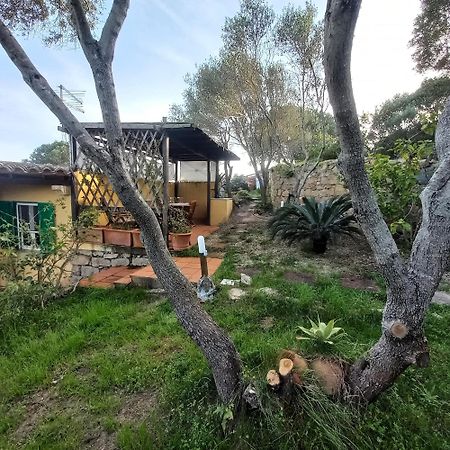 Villa Graziella ラ・マッダレーナ エクステリア 写真